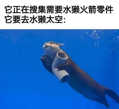 图片上半部分为黑色文字：'它正在搜集需要水獭火箭零件 它要去水獭太空:'，下半部分是一张水下照片，一只水獭正双手抱着两根白色管道，在蓝色的水中漂浮，仿佛在认真搜集所谓的'火箭零件'，整体营造出幽默可爱的氛围。