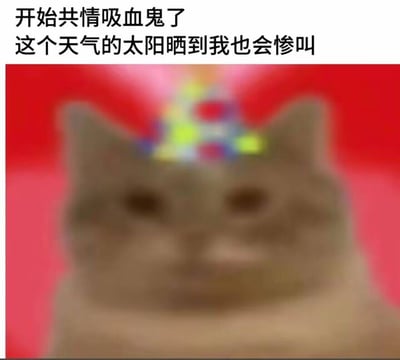 这是一张吐槽夏日高温的搞笑表情包，采用顶配底文的形式，顶部配有文字“开始共情吸血鬼了 这个天气的太阳晒到我也会惨叫”，下方是经过模糊处理的棕色猫咪正面头像，猫咪头顶带有模糊的彩色光晕，背景为红粉色渐变，用夸张的类比方式表达出夏季太阳暴晒时的痛苦感受，很容易引发大众共鸣。