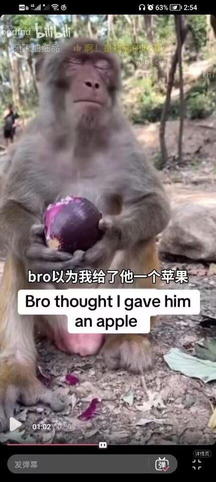 猴子