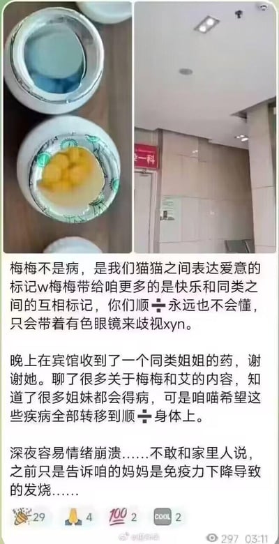 这是一张竖屏的微博截图，属于图文混排内容，上方由两张图拼接而成：左图是两个装有液体和黄色块状物的容器，右图是医院“一科”的科室门口场景。下方是用户以“咱喵”自称发布的三段文字：
1. 将自身所患的“梅梅”（谐音梅毒）称作猫猫间表达爱意的标记，指责“顺÷”（蔑称）歧视自己这类群体；
2. 提到在宾馆收到同类姐姐的药，交流了“梅梅”和“艾”（谐音艾滋病）的相关内容，诅咒这些疾病转移到“顺÷”身上；
3. 倾诉自己深夜情绪崩溃，向家人隐瞒真实病情，只说是免疫力下降导致发烧。
其中使用了大量谐音暗喻：“梅梅”指代梅毒，“艾”指代艾滋病，“顺÷”是对特定群体的歧视性蔑称，用户以“猫猫”的身份自居来指代同类型患者。