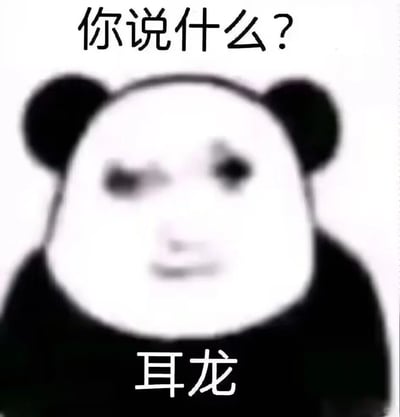这是一张熊猫头换脸的静态表情包，画面中的熊猫头被替换成了模糊的人脸，一只眼眯起，表情看起来懵懂又带点敷衍。图片顶部配有文字“你说什么？”，底部配有拆分写法的“耳龙”，是“耳聋”的谐音，用来表达听不清对话、不想回应而装聋，或者真的听力不佳的状态，属于网络上常用的搞笑吐槽类表情包，适合在聊天中用来调侃自己没听清内容，或者回避不想回答的问题。