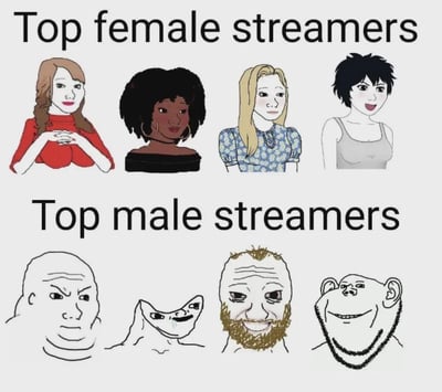 这是一张上下分栏的对比类梗图，上半栏标注“Top female streamers”（头部女主播），绘制了四位形象精致、风格各异的女性卡通人物；下半栏标注“Top male streamers”（头部男主播），则使用了四个欧美网络流行的丑化男性Wojak系列meme形象，分别是愤怒的光头Wojak、流口水的扭曲脸Wojak、带胡子的猥琐Wojak、猩猩脸meme。通过精致女性形象和粗糙男性meme形象的强烈反差，调侃直播圈中男女头部主播的公众形象差异，制造搞笑效果，核心是视觉反差带来的调侃趣味，无双关或谐音梗。