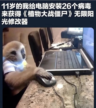 这是一张共鸣类网络梗图，顶部配文字讲述了创作者11岁时为了获取《植物大战僵尸》的无限阳光修改器，主动给电脑安装了带病毒的修改器，一共中了26个病毒的童年经历；图的主体是一只穿着白条纹短袖的猴子坐在电脑桌前，爪子放在鼠标上，认真盯着电脑屏幕，模仿人类操作电脑的样子，用猴子形象调侃年少无知做出蠢事的自己，能够让很多90后、00后玩家共情童年上网寻找免费游戏资源、修改工具时不小心下载大量病毒的共同经历。