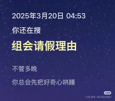 图片以深蓝色星空为背景，上方显示时间'2025年3月20日 04:53'，中间用白色和黄色文字写着'你还在搜 组会请假理由'，下方继续写道'不管多晚 你总会先把好奇心哄睡'。整体营造出深夜仍在搜索如何请假参加组会的场景，带有幽默调侃的语气，反映了职场或学生群体面对组会的无奈与好奇心之间的矛盾。