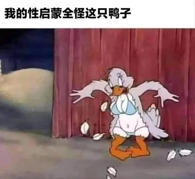 图片上方有文字“我的性启蒙全怪这只鸭子”，下方是一只卡通鸭子形象。这只鸭子穿着蓝色胸罩和白色内裤，周围有羽毛飘落，背景是红色的木板墙。图片通过将卡通鸭子拟人化并赋予成人化衣着，结合幽默夸张的文字，形成一种调侃性的搞笑效果。