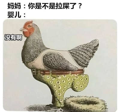 这是一张幽默梗图，画面主体是一只穿着绿色波点纸尿裤（搭配棕色腰带）的鸡。上方文字设计成亲子对话形式：妈妈问“你是不是拉屎了？”，婴儿回答“没有啊”，而实际回答者是这只穿纸尿裤的鸡。通过将婴儿角色替换为穿纸尿裤的鸡，制造出荒诞又搞笑的反差效果，属于典型的动物拟人化幽默。