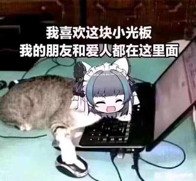 这是一张经过P图改编的静态表情包，画面主体是一只灰白相间的猫咪趴在笔记本电脑键盘上，前爪搭在鼠标上，猫咪的头部被替换为二次元游戏《碧蓝航线》中柴郡的卡通头像，该头像双眼眯起、嘴巴张开，呈现出开心大笑的表情。图片上方配有醒目的白色文字：“我喜欢这块小光板 我的朋友和爱人都在这里面”，生动地表达了部分二次元爱好者将电脑屏幕视为精神寄托，把虚拟世界中的游戏角色、好友当作重要陪伴的状态，充满了对沉迷虚拟社交的调侃意味。