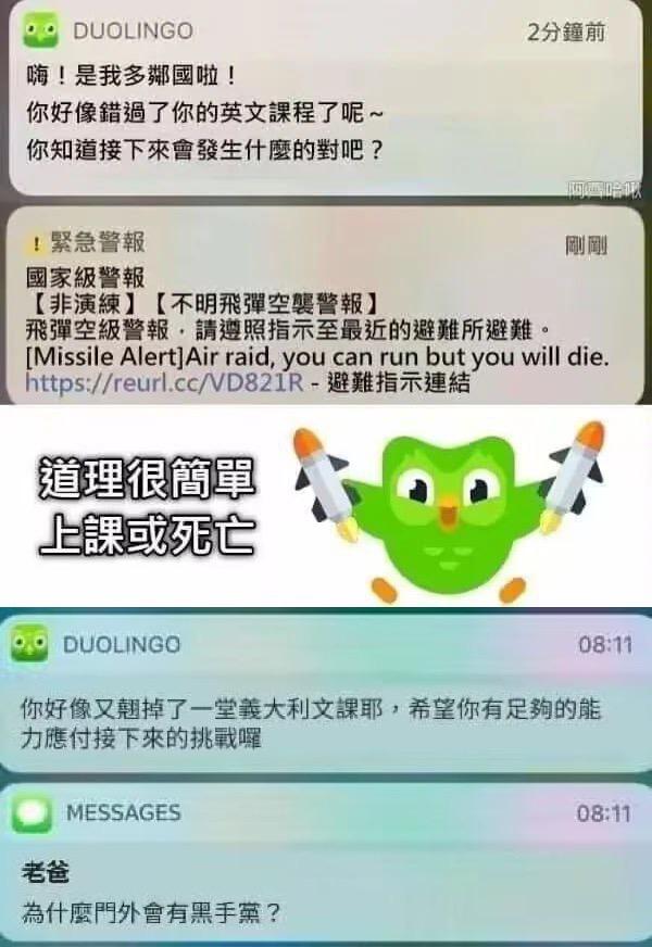 多邻国猫头鹰