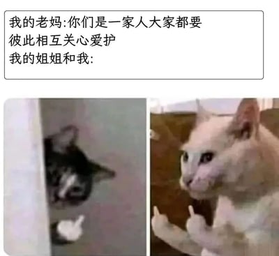 这张梗图通过上方文字和下方两张猫咪图片的对比，幽默地展现了家庭中父母期望与子女实际相处模式的反差。上方文字写着“我的老妈:你们是一家人大家都要彼此相互关心爱护 我的姐姐和我:”，下方左侧是一只黑猫从墙角探出头并伸出一只爪子，右侧是一只白猫做出停止手势，生动形象地表现出兄弟姐妹间并非总是如父母期望般和睦相处的真实状态。