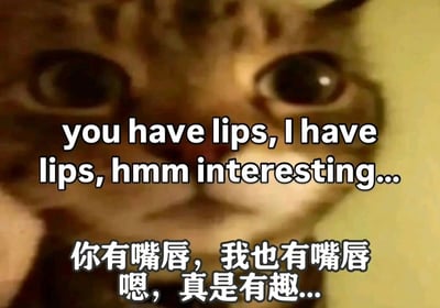 这是一张以猫咪为主角的幽默梗图。图片近距离拍摄了一只虎斑猫的面部特写，猫咪有着圆溜溜的大眼睛，眼神中透露出好奇的神情。图片中央叠加了两行文字，上方为英文“you have lips, I have lips, hmm interesting...”，下方为其中文翻译“你有嘴唇，我也有嘴唇 嗯，真是有趣...”。通过拟人化的手法，将猫咪的嘴部特征与人类的嘴唇联系起来，营造出一种猫咪仿佛在观察并思考“彼此都有嘴唇”这一发现的有趣场景，整体风格轻松诙谐，充满萌点。