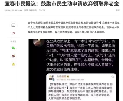 这是一张图文混排的社交媒体内容截图，核心内容是宜春市一市民在当地人社局官网提议，鼓励市民主动申请放弃领取养老金，理由是养老金紧缺，市民要为国家着想；同时配有一段解读文字，引入公共政策学的“决策气球”“政策靴子”概念，认为该提议是相关部门试探舆论风向的行为，在社保入不敷出的背景下值得关注，引发网友对养老金话题的争议讨论。