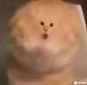 真实拍摄