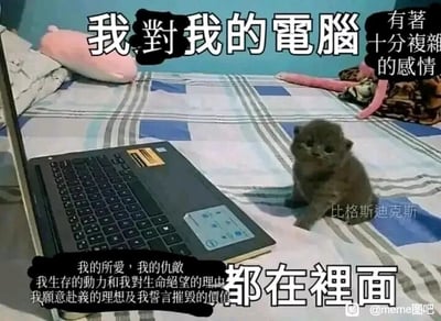 这是一张文字加注的静态图文混排图，画面主体是铺着蓝白格子床单的床，床上放着一台打开的笔记本电脑，旁边坐着一只表情委屈、眼神低落的灰色小猫，小猫身体微微前倾，看起来可怜又无助。图中用文字表达了对电脑的极致复杂情感：“我对我的电脑有着十分复杂的感情，我的所爱，我的仇敌，我生存的动力和我对生命绝望的理由，我愿意赴义的理想及我誓言摧毁的价值都在里面”，用小猫的低落神态烘托出这种纠结的情绪，精准戳中当代人依赖电脑却又被其束缚的矛盾心态——电脑既是工作、学习、娱乐的载体，带来便利和乐趣，也是压力、疲惫的来源，承载了太多生活的极端情绪。