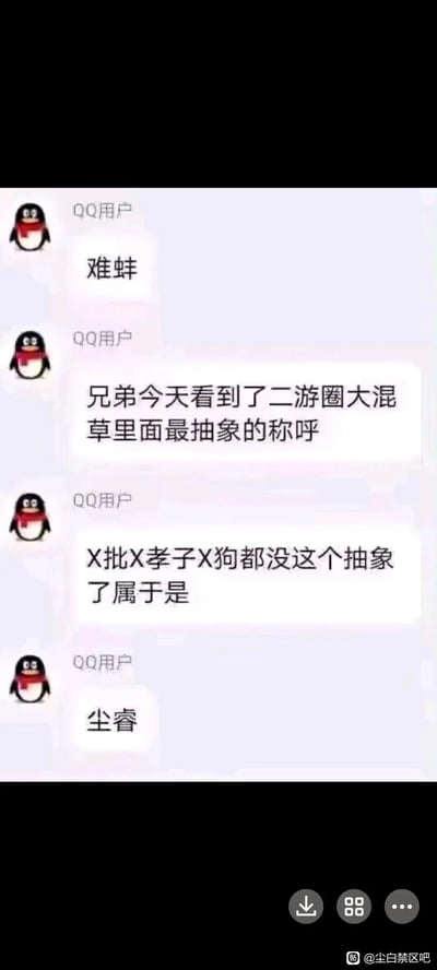 这是一张竖屏的QQ聊天记录静态截图，内容是一位QQ用户向对方分享自己在二次元游戏圈发现的抽象称呼。用户先发送“难蚌”表达自身的无语、尴尬情绪，接着称自己见到了二游圈里比“X批”“孝子”“狗”这类常见攻击性称呼还要抽象的说法，最后揭晓这个称呼是“尘睿”——该词谐音“睿智”，同时结合了游戏《尘白禁区》的名称，形成了带有调侃性质的抽象梗，整体内容是游戏玩家社群内分享圈内梗的日常对话。
