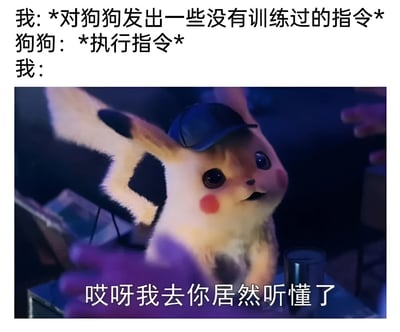 这是一张图文混排的搞笑梗图，上方文字描述了一个场景：“我: *对狗狗发出一些没有训练过的指令* 狗狗：*执行指令* 我：”，下方配图是电影《大侦探皮卡丘》中的皮卡丘形象，它戴着黑色侦探帽，睁大眼睛、张开嘴巴，露出惊讶的表情，图片底部配有文字“哎呀我去你居然听懂了”，幽默地表现了主人对狗狗意外理解指令时的震惊反应。