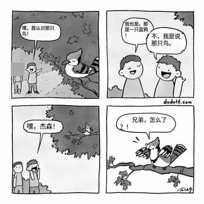 这是一幅黑白四格搞笑漫画，第一格中一名小男孩指着树枝上的鸟对身旁的同伴说“嘿，我认识那只鸟！”；第二格同伴笑着回应称自己也认识，那是一只蓝鸦，小男孩连忙纠正说自己指的是认识这只鸟本身；第三格小男孩对着树枝上的鸟大喊“嘿，杰森！”；第四格树枝上的蓝鸦突然张开翅膀，一脸惊讶地反问“？！兄弟，怎么了”，故事的笑点在于意料之外的反转：小男孩确实和这只鸟相识，这只鸟不仅拥有人类名字杰森，还可以像人一样说话回应。
