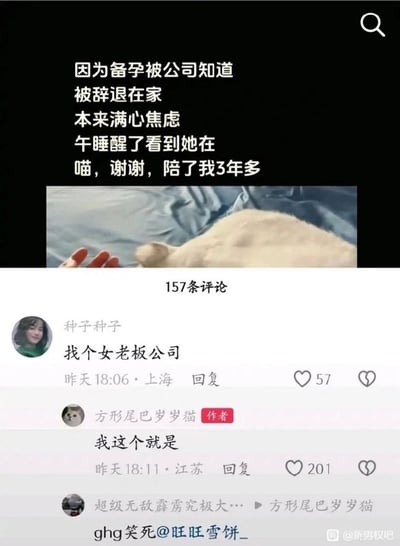 这张梗图展示了一位因备孕被公司知道而被裁退在家的用户，本来内心焦虑，午睡醒来看到三年陪伴的猫咪，瞬间被治愈。下面评论区有网友调侃“找个女老板公司”，博主自称“我这个就是”，氛围温馨又有网络幽默感。猫作为“女老板”的身份，形成温柔又轻松的网络互动。