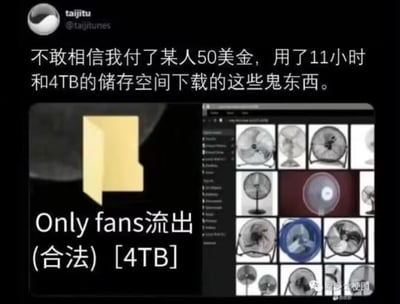 社交媒体用户@taijitu吐槽自己花费50美金、耗时11小时下载的4TB 'OnlyFans流出（合法）'文件，实际内容竟是大量不同款式的电风扇图片。图中左侧为标注'Only fans流出 (合法) [4TB]'的黄色文件夹图标，右侧是电脑屏幕截图显示的电风扇网格缩略图（包含黑白、彩色等多种款式），上方配文表达对下载内容与预期严重不符的荒诞感。通过'成人内容流出'与'普通家电图片'的强烈反差制造搞笑效果。