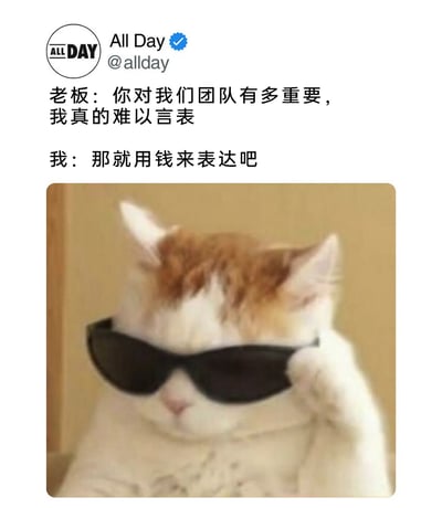 这是一张针对职场场景创作的搞笑梗图，采用图文混排的形式。上方模拟职场对话场景：老板以口头夸赞的方式对员工表示认可，称“你对我们团队有多重要，我真的难以言表”，而员工则直接硬核回应“那就用钱来表达吧”，精准戳中职场中常见的“老板画饼、员工诉求实际报酬”的痛点。下方搭配一只戴着超大黑色墨镜、爪子扶着墨镜的白橘猫，猫咪拽酷、淡定的神态与动作，完美契合员工不绕弯子、直接诉求薪资的态度，用幽默诙谐的方式表达了打工人希望将工作价值转化为实际物质回报的心声，容易引发职场群体的共鸣。