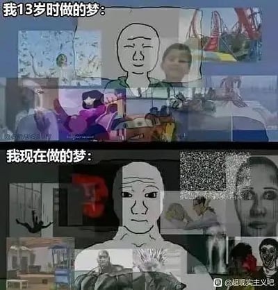 这是一张上下分栏的对比梗图，上半部分标注「我13岁时做的梦」，背景拼接了充满童趣与奇幻感的画面，包含动画角色、游乐园过山车、清新户外场景等，搭配中心的Wojak光头meme脸，展现年少时梦境的多彩、充满幻想；下半部分标注「我现在做的梦」，背景是混乱压抑的拼接画面，有恐怖形象、工作相关场景、模糊噪点等，同样搭配Wojak脸，对比出长大后梦境的现实、压抑甚至荒诞，精准戳中人们随着成长，梦境从充满幻想转变为贴近现实压力的共鸣点，无谐音或双关梗。