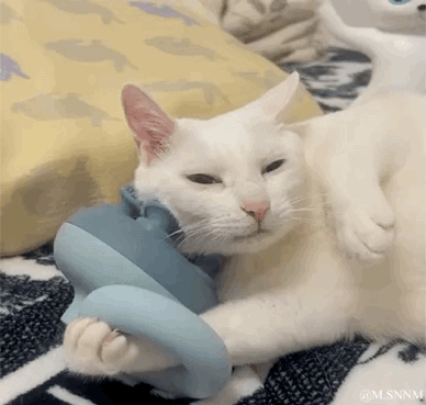 这是一段动态GIF，画面中一只白色猫咪瘫在带有花纹的地毯上，抱着蓝灰色的宠物玩具，眼睛半眯，一脸慵懒享受，爪子轻轻抓着玩具，动作放松惬意，仿佛在享受舒适的时刻，没有双关、谐音梗等内容。