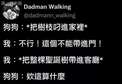 这是一张X（原Twitter）平台的社交媒体截图，展示了用户Dadman Walking分享的一则以宠物互动为主题的搞笑段子。内容通过主人与狗狗的四段对话构建笑点：狗狗试图将树枝叼进家中，被主人严厉制止；但随后主人却自己将整棵圣诞树搬进了客厅，狗狗对此发出“欸这算什么”的灵魂吐槽，用主人明显的双标行为制造出强烈的反差幽默，精准戳中了人们对生活中双标场景的共鸣。截图左上角带有“譯：好色龍”的中文翻译水印，顶部则显示了发布者的账号名称“Dadman Walking”及其账号ID“@dadmann_walking”，整体为图文混排的静态截图，风格轻松诙谐。