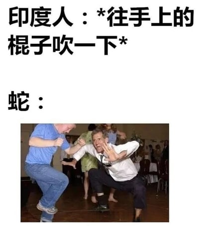 图片上方文字为'印度人：*往手上的棍子吹一下*'和'蛇：'，下方是一张两人在舞池里疯狂跳舞的照片，一人穿蓝色T恤牛仔裤，另一人穿白衬衫打领带，动作夸张，用来幽默表现蛇被笛声吸引后的兴奋反应。