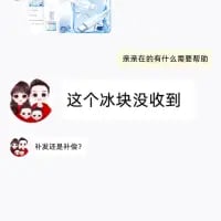 这是一张竖屏的电商客服聊天记录截图，界面顶部有客服的问候语“亲亲在的有什么需要帮助”，并配有一款冰块类商品的图片；下方是带有卡通家庭头像的顾客发送的两条消息：“这个冰块没收到”以及“补发还是补偿？”，呈现了网购商品漏发后，顾客向客服寻求售后解决方案的场景。