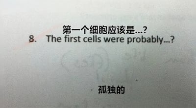 这是一张以生物学问题为背景的幽默梗图。图片中央上方显示中英文对照的问题“8. The first cells were probably...? 第一个细胞应该是...?”，下方则用中文给出了出人意料的答案“孤独的”。通过将科学问题与拟人化的情感回答结合，形成了一种反差萌的搞笑效果，调侃了严肃的学术问题。