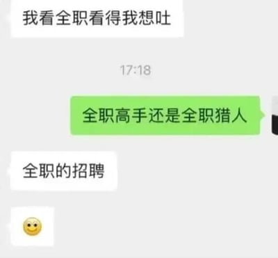 这是一段微信聊天截图，用户因“全职”二字产生搞笑误会，把招聘里的“全职”理解成了热门小说《全职高手》或动画《全职猎人》，引发尴尬和调侃，最后以一个无奈笑脸emoji结尾，凸显对话的幽默与社畜生活的无力感。

图中具有语言双关——‘全职’暗指不同概念，属于多义词引起的误解类梗图。