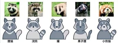 这是一张上下对比的多图拼接图文混排图，上排从左至右依次是狸猫、浣熊、獾、果子狸、小熊猫的真实野生动物照片，下排是与上排一一对应的卡通风格形象，每个卡通形象下方都配有对应的中文名称标注。图片通过真实样貌与卡通化形象的对照，清晰呈现了这五种外形易混淆的野生动物的特征，兼具科普性与趣味性，方便观看者识别和区分这些动物。