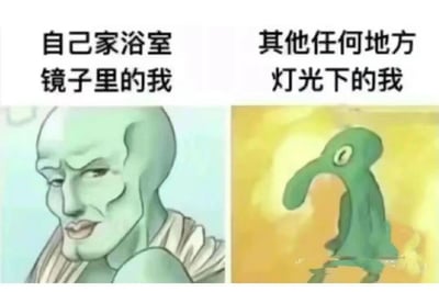 这是一张左右对比梗图，左侧标题为“自己家浴室镜子里的我”，配图是一个绿色调、面部线条相对正常的人形角色，表情严肃，给人一种自我感觉良好的视觉效果；右侧标题为“其他任何地方灯光下的我”，配图则是一个五官扭曲、形似外星生物的绿色角色，背景为黄色调，夸张地表现了在不同灯光环境下自我形象的巨大反差。图片通过幽默的方式调侃了人们在熟悉环境（自家浴室镜子）和其他环境灯光下对自身外貌认知的差异，充满自嘲意味。