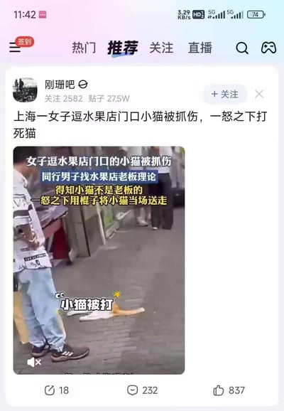 这是一张贴吧类论坛的社交媒体截图，内容记录了一起发生在上海的社会事件：一女子逗水果店门口的流浪小猫被抓伤，同行男子找水果店老板理论后，得知小猫并非老板所有，一怒之下用棍子将小猫当场打死。截图中包含事件的视频片段截图，配文详细说明了事件经过，该事件在网络上引发了关于流浪动物管理、情绪控制的热议，图中无谐音梗、双关或暗示类内容。