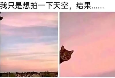 上方配有文字'我只是想拍一下天空，结果……'，左侧图片展示了粉蓝渐变的天空，云层层次分明，下方可见房屋轮廓；右侧图片则是同色系的粉色天空，但一只猫咪的脑袋从左侧边缘探出，眼神带着一丝狡黠，仿佛意外闯入镜头的惊喜嘉宾。