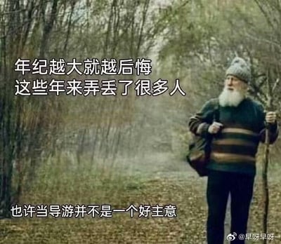 这是一张搞笑反转梗图，画面主体是一位白胡子老人，他拄着拐杖、背着包，行走在落叶满地的林间小路上，神情看起来有些惆怅。图中上方配文“年纪越大就越后悔 这些年来弄丢了很多人”，会让观者误以为老人在感慨人生中失去了亲友等重要的人，结果下方配文“也许当导游并不是一个好主意”，瞬间反转了语义，原来“弄丢很多人”指的是老人作为导游时弄丢了游客，用这种双关的方式制造出强烈的搞笑反差效果。