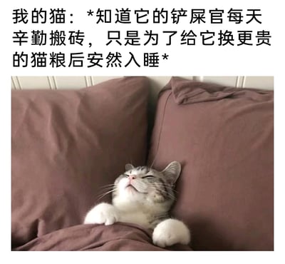 这是一张充满趣味的养宠梗图，采用图文结合的形式，上方以拟人化的配文赋予猫咪心理活动，描述它知晓铲屎官每日辛苦工作（搬砖）只为给它换更贵的猫粮，随后便心安理得地安然入睡；下方的实拍猫咪仰躺在枕头上，盖着被子，双眼紧闭，一脸满足惬意，两只前爪搭在被子上，姿态放松，完美呼应了配文里的状态，用幽默的方式调侃了铲屎官辛勤工作供养宠物的日常，既带着职场人的自嘲，也体现出养宠人对宠物的喜爱，容易引发广大养宠人士的共鸣。