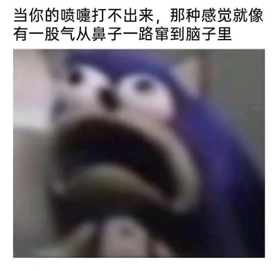 图片上方配有文字描述‘当你的喷嚏打不出来，那种感觉就像有一股气从鼻子一路窜到脑子里’，下方是一张模糊的动画角色特写图。角色嘴巴大张，双眼圆睁，表情夸张，似乎正经历着喷嚏打不出时的憋闷与难受，生动形象地呼应了上方文字所描述的生理感受。