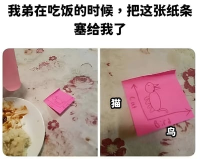 图片分为左右两部分，展示了一张弟弟在吃饭时塞给姐姐的粉色便利贴。左边图中可以看到餐桌上有一个装着米饭的白色盘子，旁边放着一个粉色水杯，粉色便利贴被折叠放在桌布上。右边图是便利贴展开后的特写，上面用黑色笔画着一个抽象的生物，旁边标注了英文"Cat"和"Bird"，并配有中文标签"猫"和"鸟"，展现了小朋友天真可爱的绘画风格。