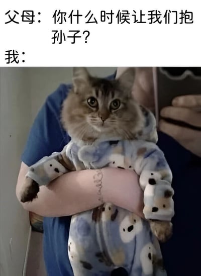 图片上方文字显示“父母：你什么时候让我们抱孙子？我：”，下方是一个人穿着蓝色衣服，双手抱着一只穿着印有熊猫图案婴儿连体衣的猫。猫咪表情无辜，眼神睁大看向前方，整体通过将猫打扮成婴儿的方式，幽默回应父母催生的问题，展现了年轻人面对长辈催生时的调侃与无奈。