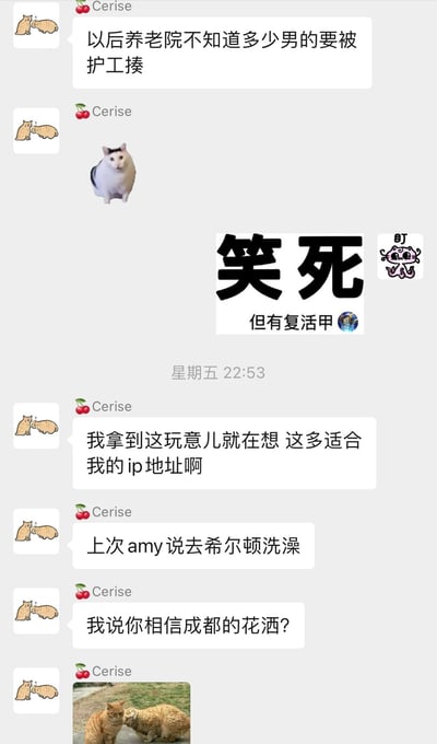 这是一张聊天记录截图，展示了用户"Cerise"的一系列幽默发言。截图上方有用户头像（两只卡通猫）和用户名"Cerise"，主要内容包括：
- 调侃养老院护工的幽默言论
- 中间配有一张白猫图片
- 核心表情包区域有大字"笑死"和小字"但有复活甲"，并配有一个"盯"字表情包
- 后续聊天内容提到IP地址、希尔顿洗澡和成都花洒等话题
- 底部有一张两只橘猫依偎的照片

整体风格轻松搞笑，使用了网络流行语和游戏术语（复活甲）制造幽默效果。