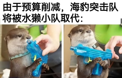 图片上方配有黑色加粗文字“由于预算削减，海豹突击队将被水獭小队取代：”，下方为左右两张横向排列的水獭照片。左侧照片中，一只水獭正低头用嘴咬住被人递来的蓝色塑料水枪；右侧照片中，同一只水獭已双手紧握水枪，抬头挺胸，仿佛“执行任务”。通过将象征精英战力的“海豹突击队”与呆萌水獭手持玩具水枪的画面强行关联，利用严肃军事概念与可爱动物形象的巨大反差制造幽默效果，讽刺预算削减带来的“降配”现象。