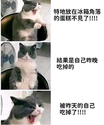 这是一张由三格图片组成的连环图文梗图，主角是一只灰白相间的英短猫咪，通过猫咪的表情变化搭配文字，讲述了一个搞笑的日常故事：第一格中猫咪张大嘴巴、前爪抬起，配文“特地放在冰箱角落的蛋糕不见了！！！！”，表现出发现蛋糕失踪的震惊与着急；第二格猫咪睁着大眼睛，一脸茫然，配文“结果是自己昨晚吃掉的”，揭示蛋糕失踪的真相，猫咪的茫然对应着自己完全忘记了这件事；第三格猫咪再次大张嘴巴，头部扭动，表情崩溃，配文“被昨天的自己吃掉了！！！！”，表现出对自己吃掉蛋糕又失忆这件事的抓狂。整个梗图用拟人化的猫咪形象，调侃了人们偶尔会出现的断片、忘记自己做过的事的经历，容易引发共鸣，充满趣味。