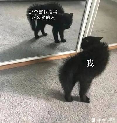这是一张拟人化的搞笑meme图，画面主体是一只毛发炸起的黑猫，它站在镜子前，对着自己的倒影摆出警惕敌对的姿态。图中用文字标注：现实里的黑猫是“我”，镜子里的倒影是“那个害我活得这么累的人”，以幽默的方式调侃当代人在高压生活下，疲惫到将自己的疲惫归咎于自己，生动表现出对自己“又怨又无奈”的复杂情绪，精准戳中打工人、年轻人在日常疲惫中的自我吐槽心态。