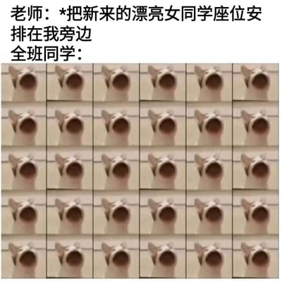图片上方是老师的内心想法文字：“老师：*把新来的漂亮女同学座位安排在我旁边”，下方则是由多排重复的狗头像组成的网格画面，每只狗都张大嘴巴，表情夸张，以此幽默地表现出全班同学听到这个消息时的激动和期待反应。