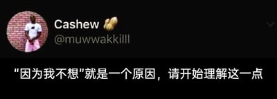 暂无描述