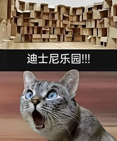 这是一张上下拼接的趣味宠物梗图，上半部分展示了用大量纸箱搭建出的类似迷宫的复杂空间，中间以黑色背景搭配白色醒目文字标注“迪士尼乐园!!!”；下半部分是一只蓝眼睛的灰斑猫，它双眼圆睁、嘴巴大张，露出震惊又狂喜的表情，仿佛抬头看到了自己的梦想天堂。图片利用猫咪天生热爱纸箱的习性，将普通的纸箱空间夸张成“迪士尼乐园”，通过猫咪的夸张表情强化了这种反差感，充满搞笑治愈的氛围，精准戳中宠物爱好者的笑点。