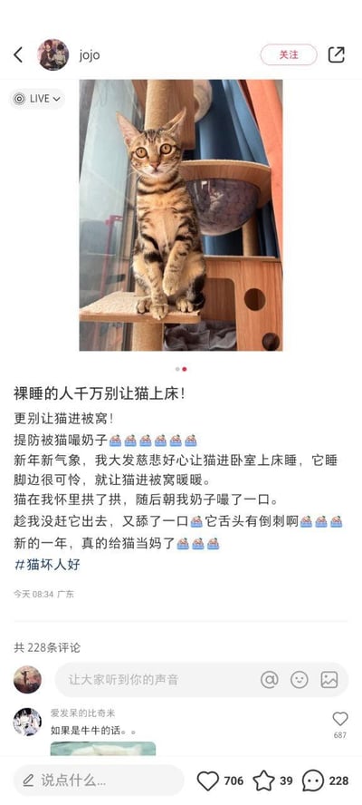 社交媒体用户"jojo"发布的图文帖子，内容为一只虎斑猫坐在木质猫爬架上，眼神警惕地注视前方。帖子正文讲述了自己裸睡时出于好心让猫进被窝取暖，结果被猫拱怀里后嘬舔奶头的搞笑经历，配文充满无奈又好笑的情绪，结尾自嘲"新的一年给猫当妈了"并带上话题#猫坏人好。帖子下方显示发布于今天08:34广东，获706赞、39收藏、228条评论，热门评论调侃"如果是牛牛的话。。"。整体呈现宠物主人与猫咪间的趣味互动，兼具生活气息与幽默吐槽。