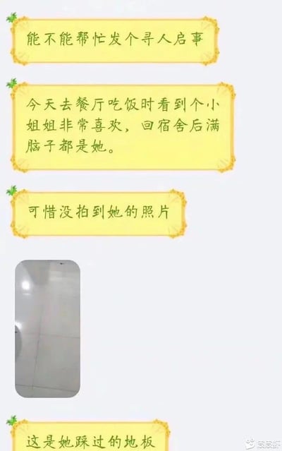 该梗图由四个带有黄色花纹边框的文本框和一张地板照片组成，整体采用竖版排版。文本内容讲述了一个人在餐厅遇到喜欢的小姐姐后想发寻人启事，却因没拍到照片只能提供“她踩过的地板”作为线索的搞笑故事。通过“寻人启事”的严肃形式与“地板照片”这一荒诞证据形成强烈反差，制造出幽默效果，属于典型的无厘头调侃类 meme。