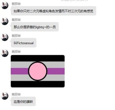 这是一张聊天记录截图，用户“萌邪神”在对话中提出：如果只对二次元等虚拟角色有感觉而不对三次元的人有感觉，那么就是骄傲的LGBTQ+一员，称为“Fictosexual”，并配上了一面由黑、灰、粉、紫等颜色组成的旗帜图片，称其为“你的旗帜”。