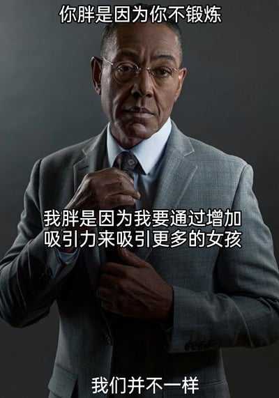 这是一张改编自美剧《绝命毒师》角色古斯塔沃·弗林（炸鸡叔）剧照的搞笑梗图。图中以他人的常规评价“你胖是因为你不锻炼”作为引子，随后用自我调侃式的无厘头回复“我胖是因为我要通过增加吸引力来吸引更多的女孩”制造反差，最后以“我们并不一样”强化这种与众不同的态度。搭配炸鸡叔严肃、气场强大的形象，让原本无厘头的话语更具喜剧效果，属于用正经形象讲搞笑内容的反差类梗图，多用于自我调侃或者幽默回应他人对发胖的评价。